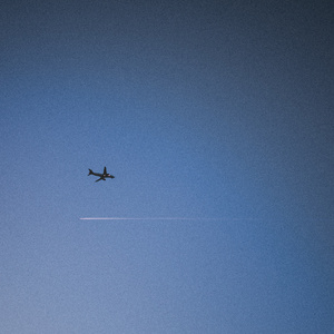 青青伊人网在线观看
