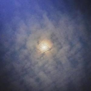 青青伊人网在线观看
